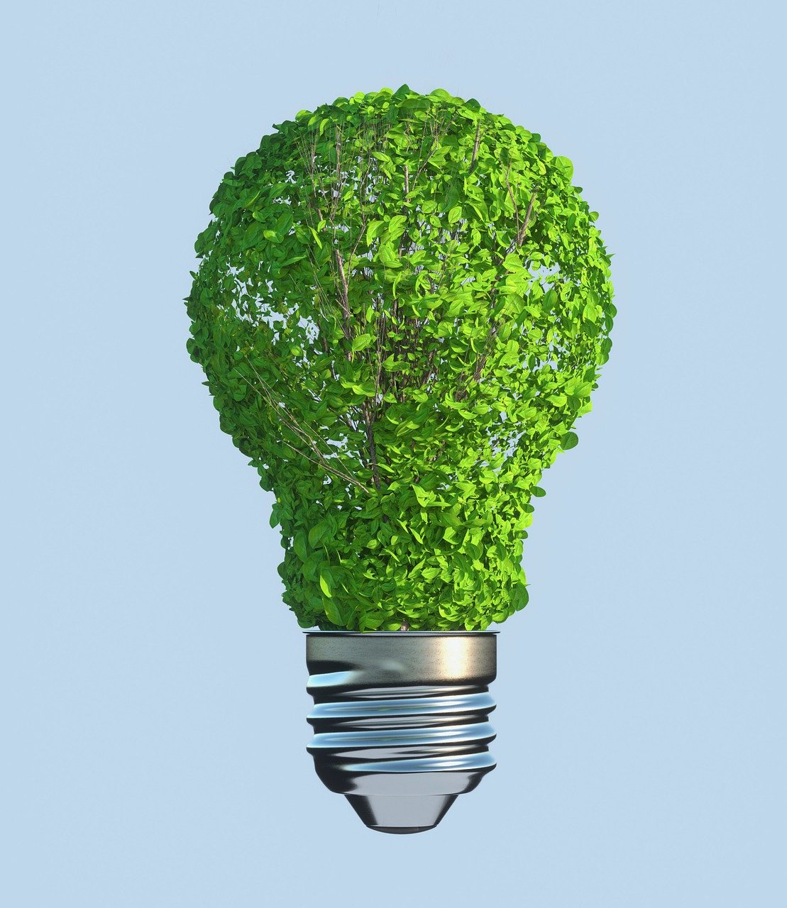 découvrez comment la durabilité influence notre avenir, en adoptant des pratiques respectueuses de l'environnement, en optimisant l'utilisation des ressources et en favorisant des modes de vie responsables pour un monde plus durable.