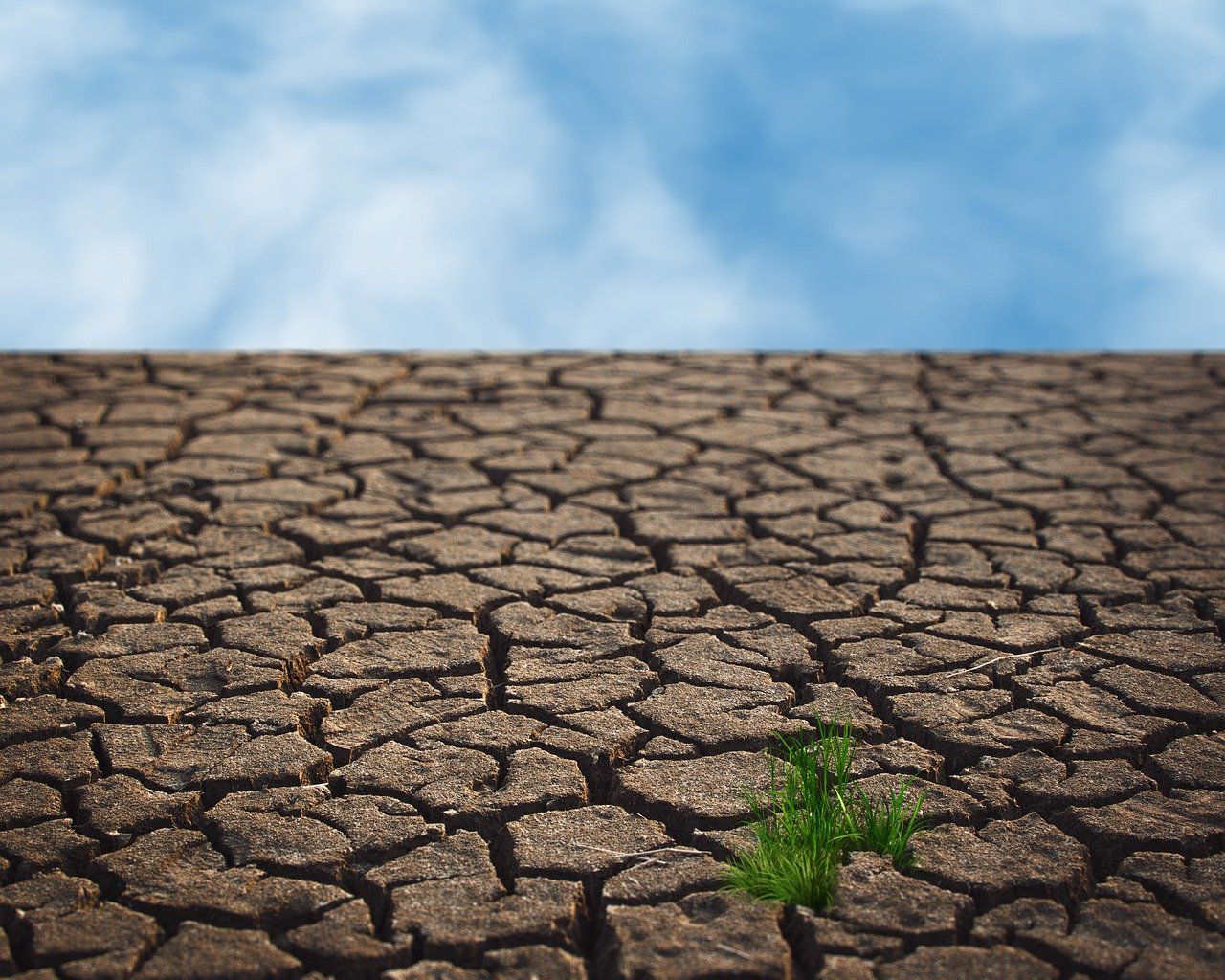 découvrez les enjeux majeurs du changement climatique, ses impacts sur notre planète et les solutions durables pour préserver notre environnement. engagez-vous pour un avenir plus vert et informez-vous sur les actions à entreprendre face à cette crise mondiale.