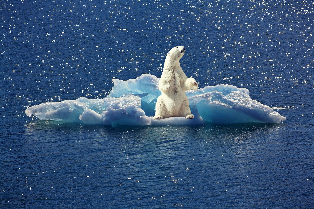 découvrez nos ambitions climatiques et nos actions pour un avenir durable et respectueux de l'environnement.