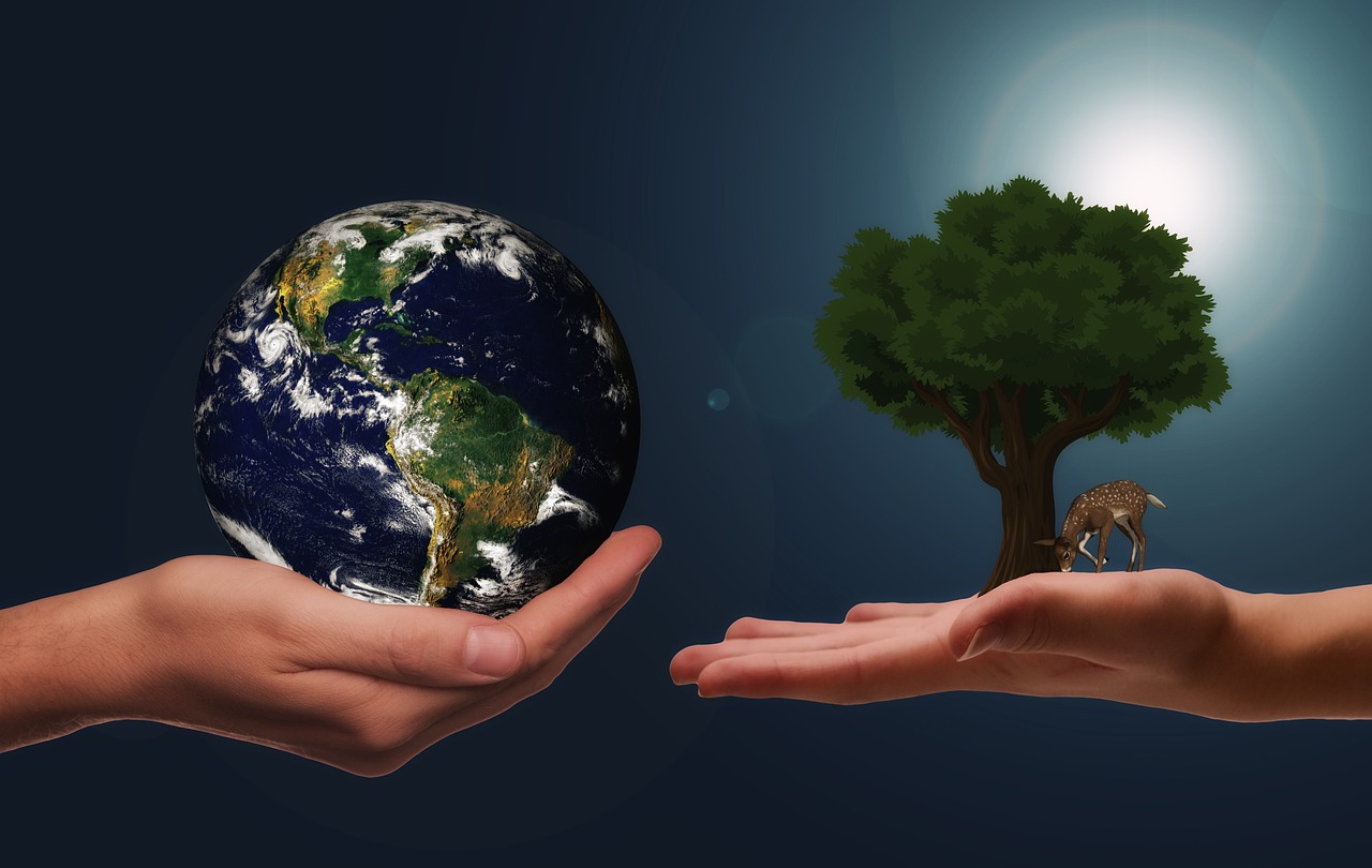 découvrez comment construire un système alimentaire durable qui respecte l'environnement, soutient les agriculteurs locaux et assure une alimentation saine pour tous.