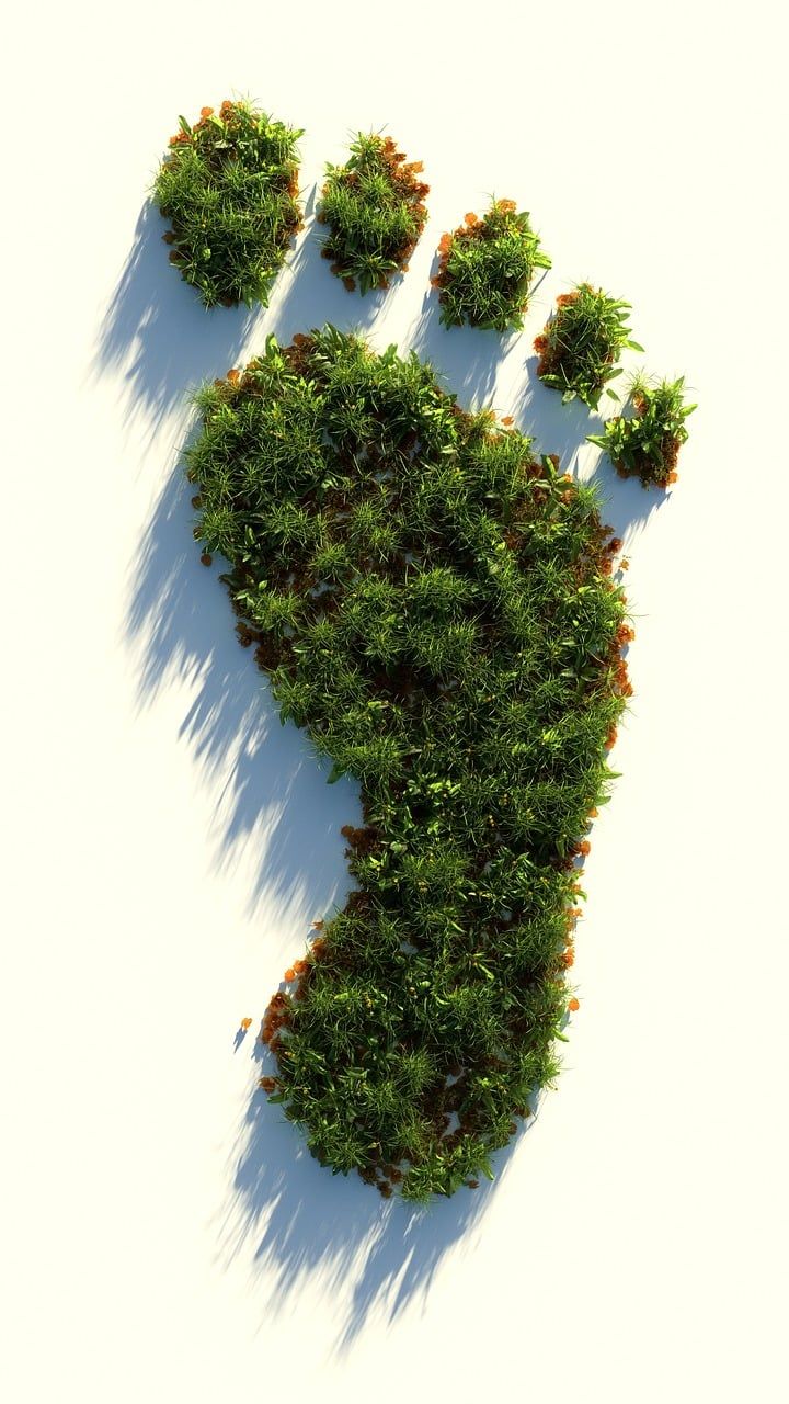découvrez ce qu'est l'empreinte écologique, son impact sur l'environnement et comment réduire votre consommation pour un avenir durable.