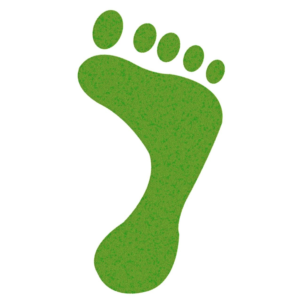découvrez ce qu’est l’empreinte carbone, son impact sur l’environnement et comment la réduire à travers des gestes simples et efficaces au quotidien.
