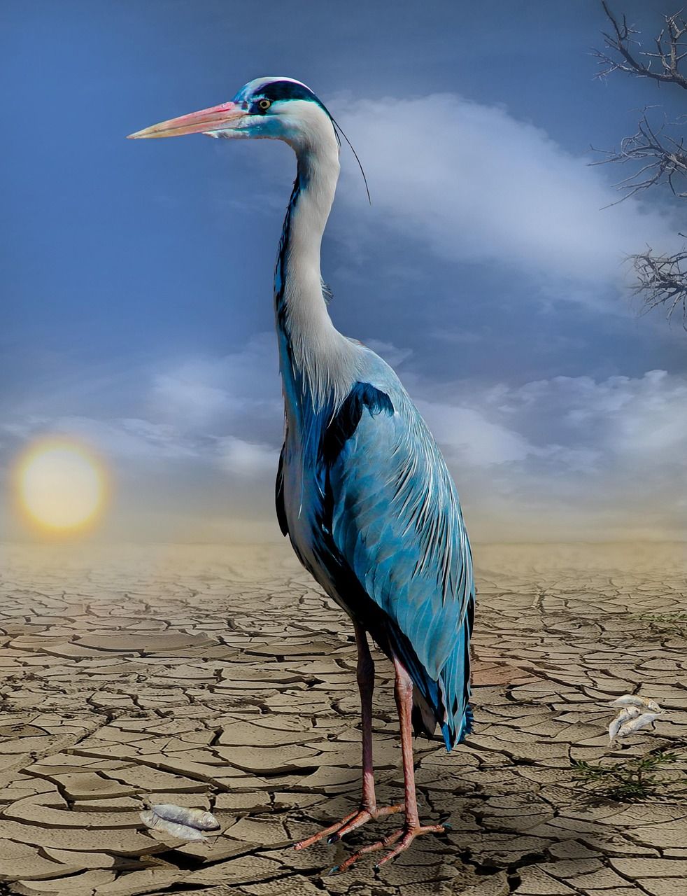 découvrez comment renforcer la résilience climatique face aux enjeux environnementaux actuels, protéger les communautés et favoriser l’adaptation durable face aux changements climatiques.
