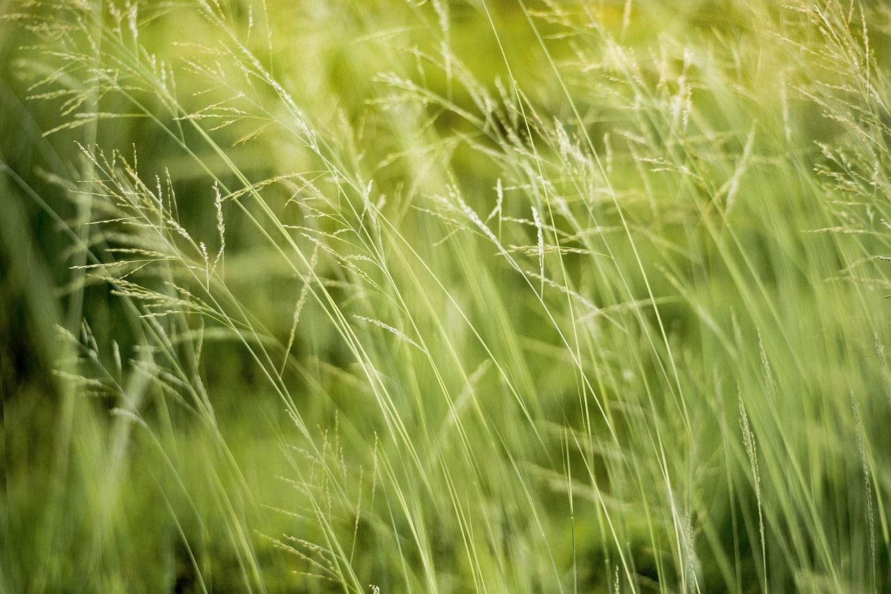 découvrez comment les indicateurs de performance environnementale (kpi) peuvent aider votre entreprise à mesurer et à améliorer son impact écologique, tout en favorisant une croissance durable et responsable.