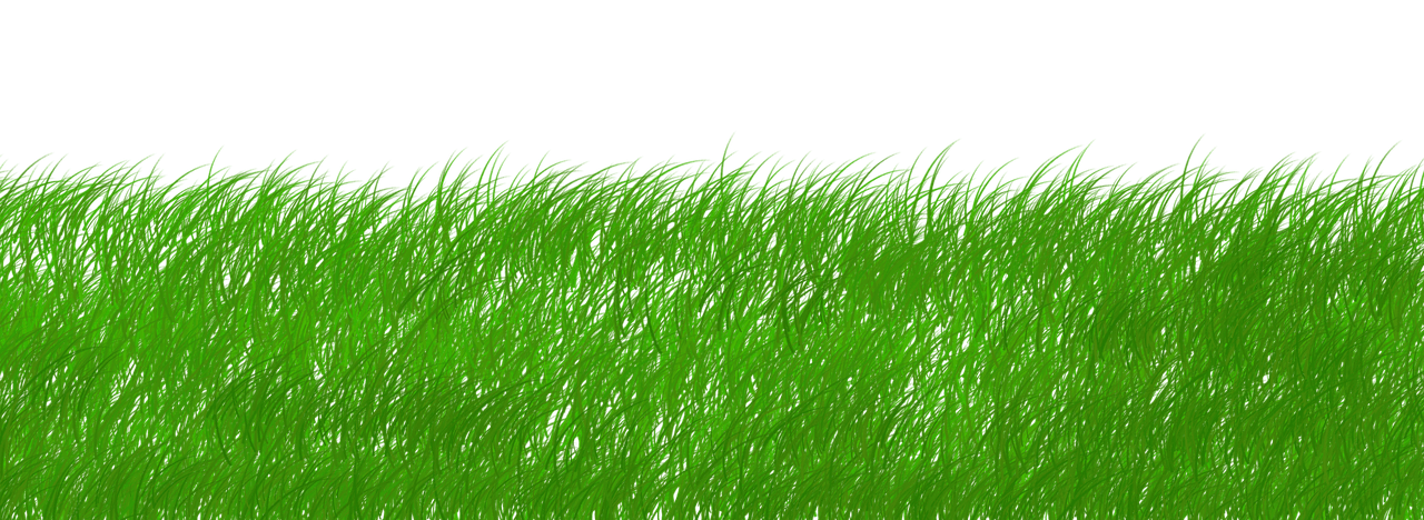 découvrez comment la durabilité façonne un avenir meilleur grâce à des pratiques éco-responsables, des innovations vertes et des solutions pour préserver l'environnement au quotidien.