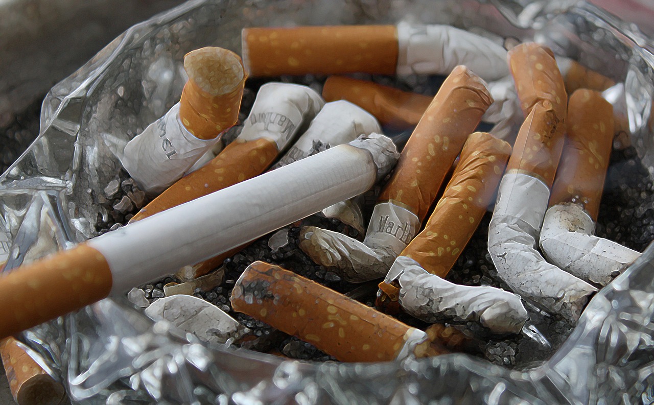 découvrez des habitudes durables pour un mode de vie plus respectueux de l'environnement. apprenez à intégrer des pratiques écologiques dans votre quotidien et à réduire votre empreinte carbone tout en préservant la planète.