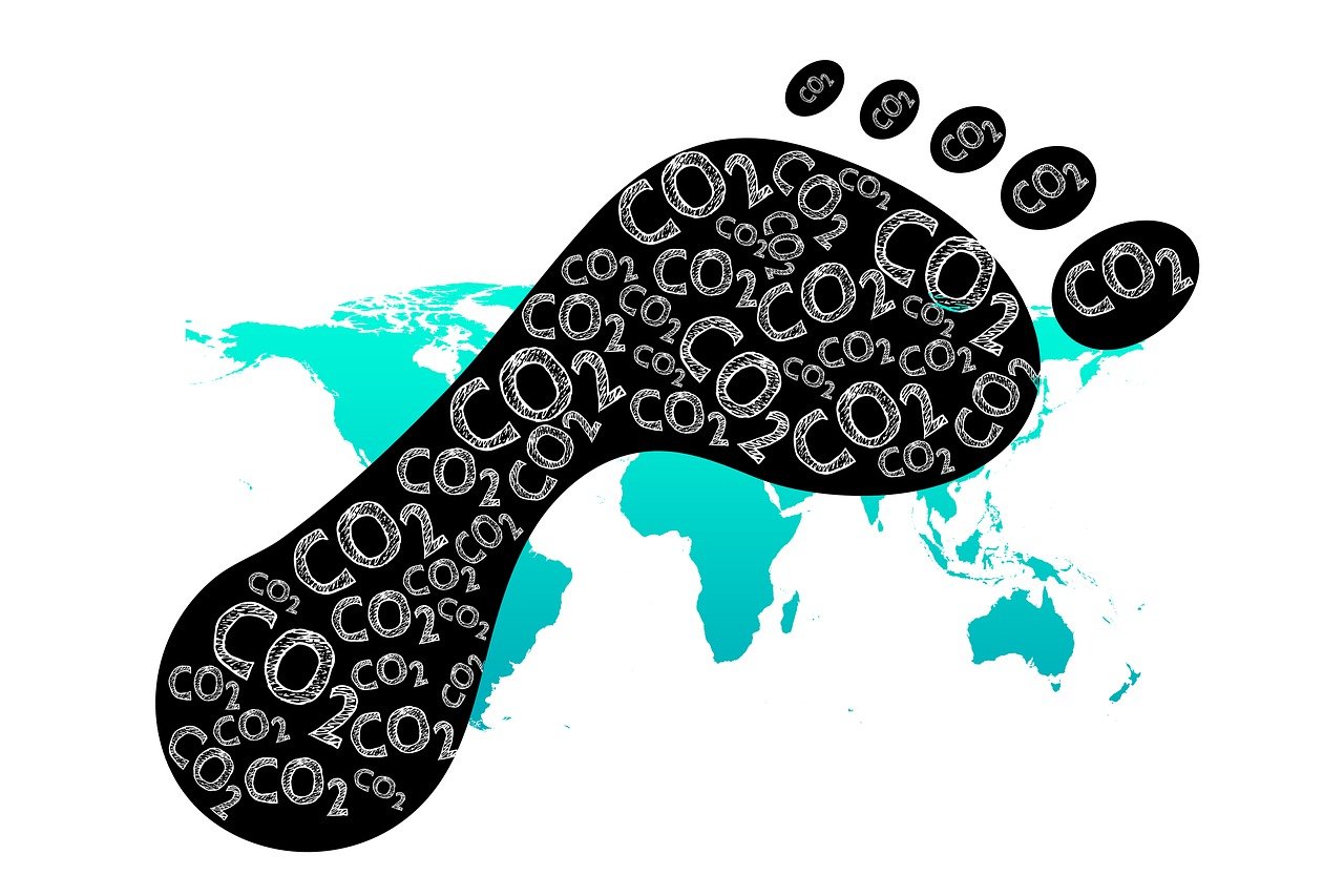 découvrez l'empreinte écologique, un indicateur essentiel pour évaluer l'impact de nos activités sur l'environnement. apprenez à réduire votre empreinte carbone et à adopter des comportements plus durables pour préserver notre planète.