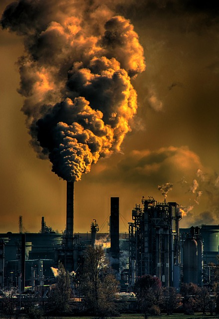 Une approche globale de la RSE : la clé pour une réduction efficace des émissions de gaz à effet de serre