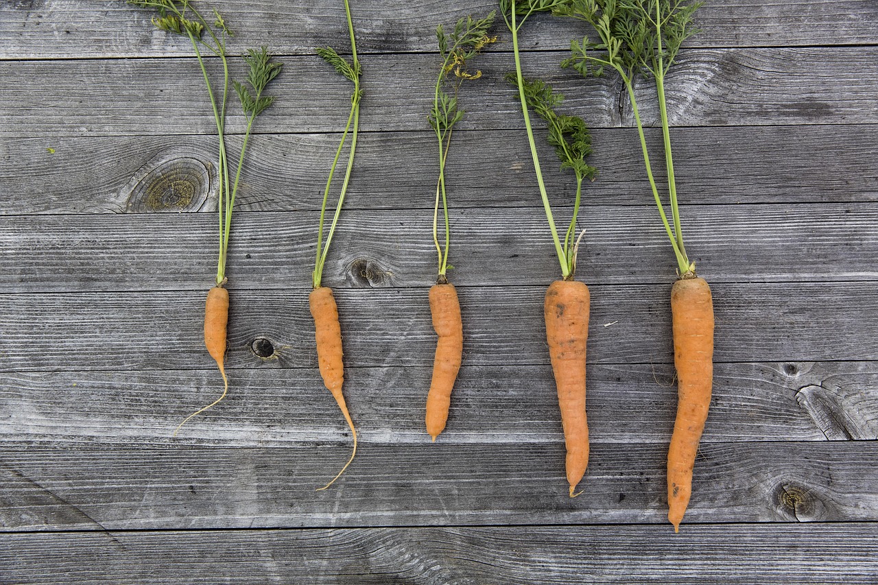 Consommation responsable : adopter des gestes simples pour un impact durable en 2025