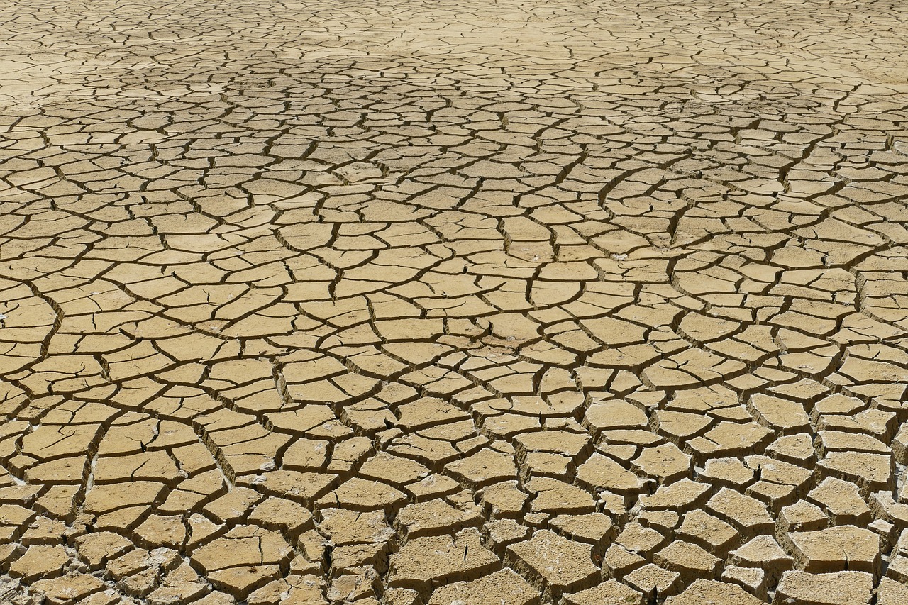 Changements climatiques : l’importance de l’implication citoyenne