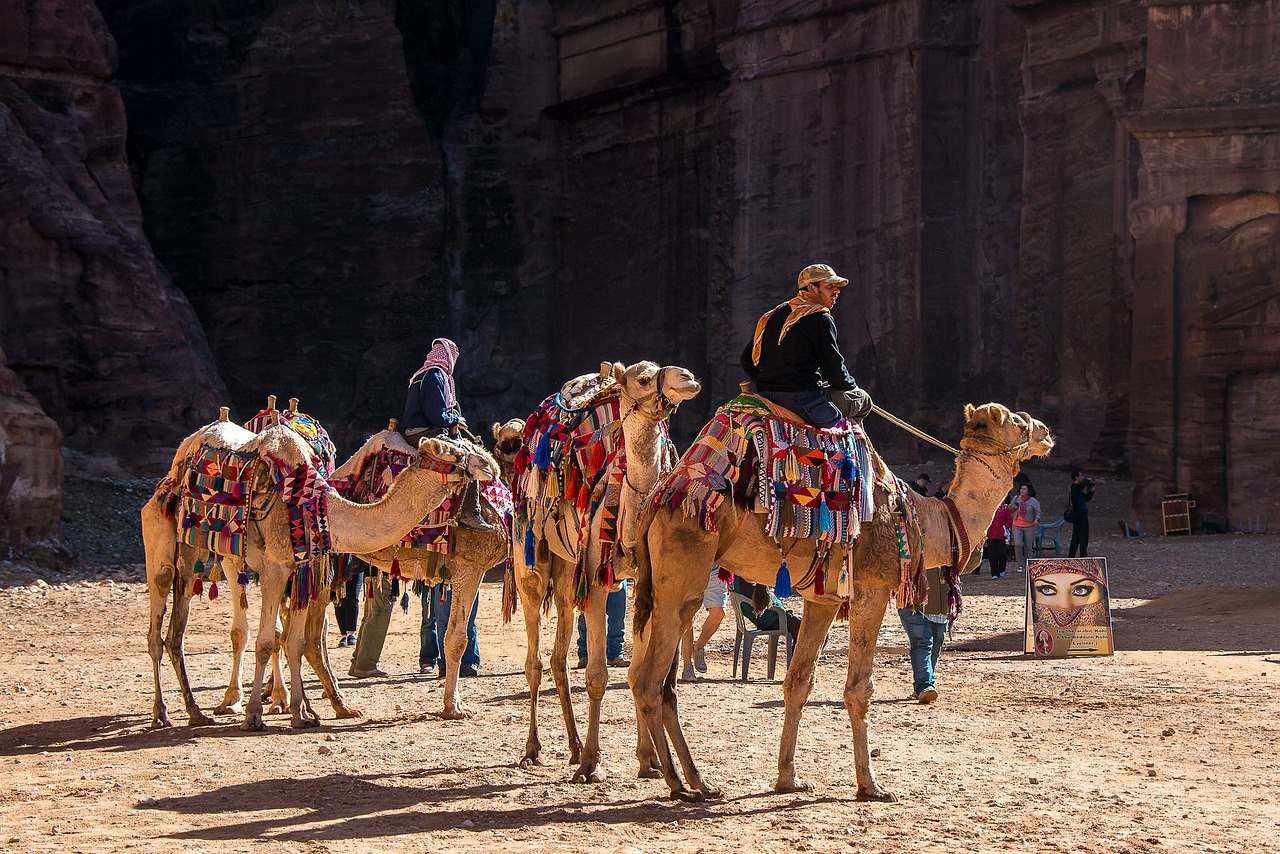 L’impact du tourisme sur le réchauffement climatique : une relation complexe à explorer