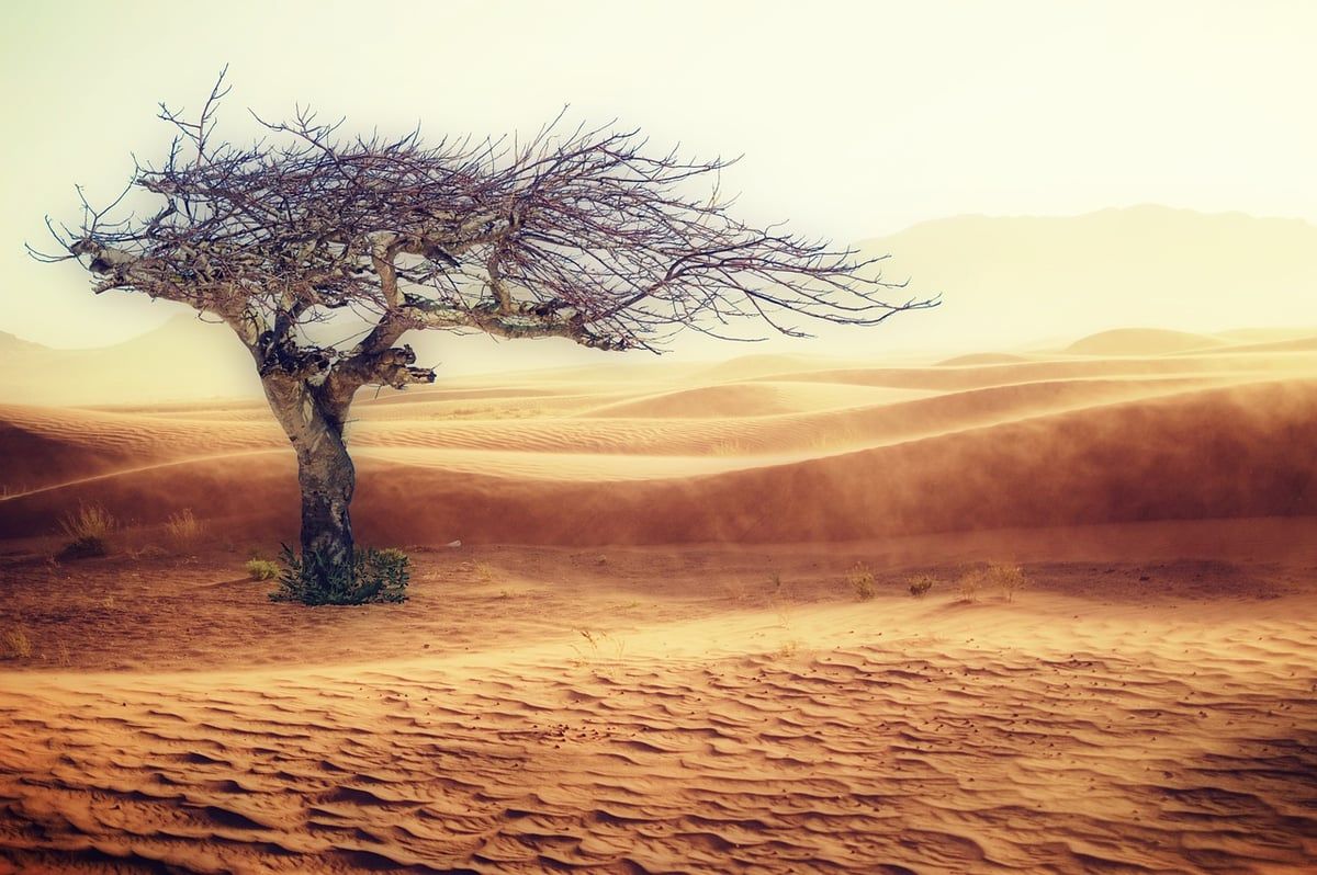 Changements climatiques : quelles actions à entreprendre ?