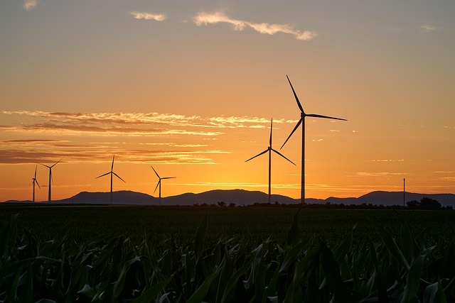 Économie verte : Les clés pour un avenir durable