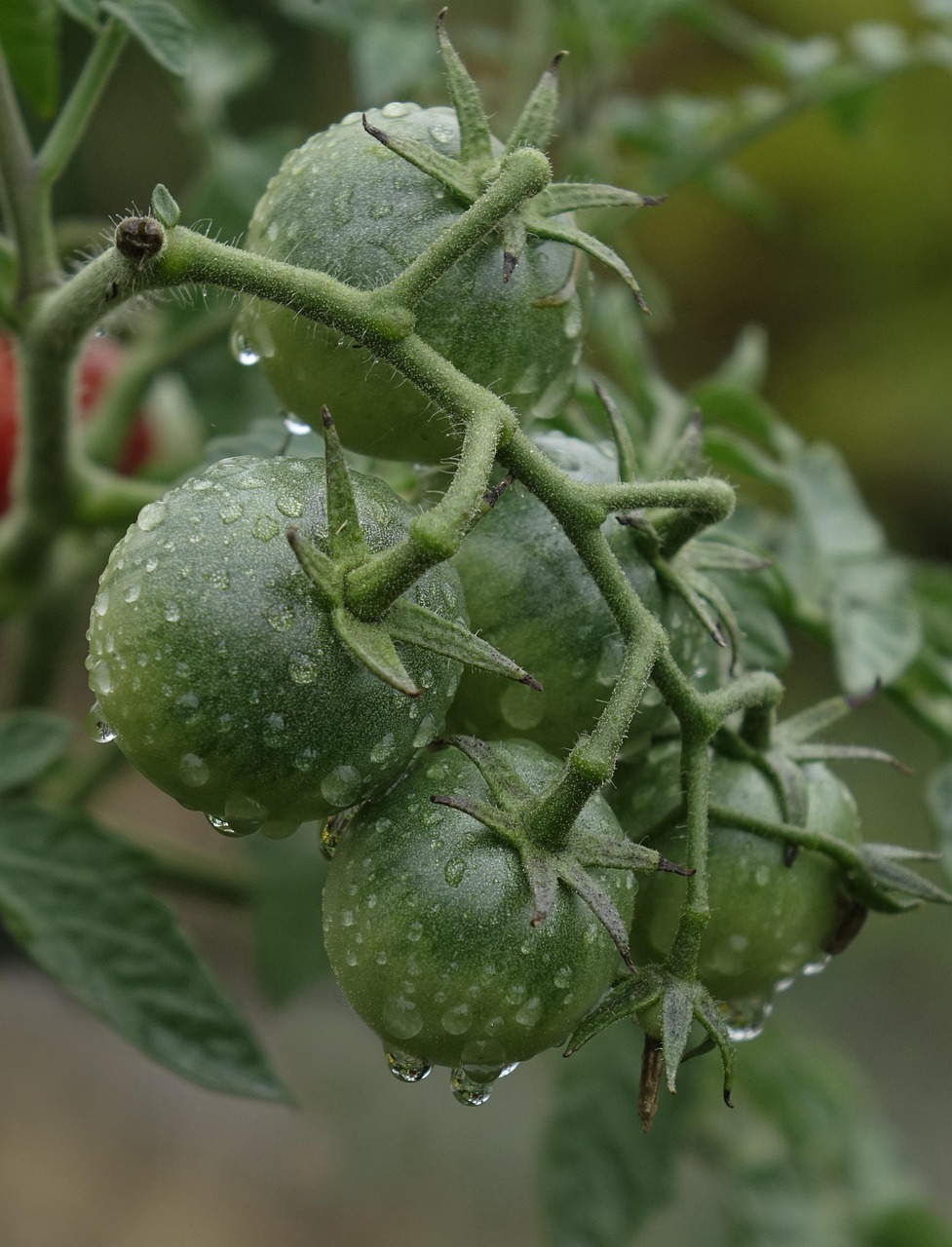 Les agriculteurs en quête d’une prime verte pour optimiser leur bilan carbone restent sur leur faim