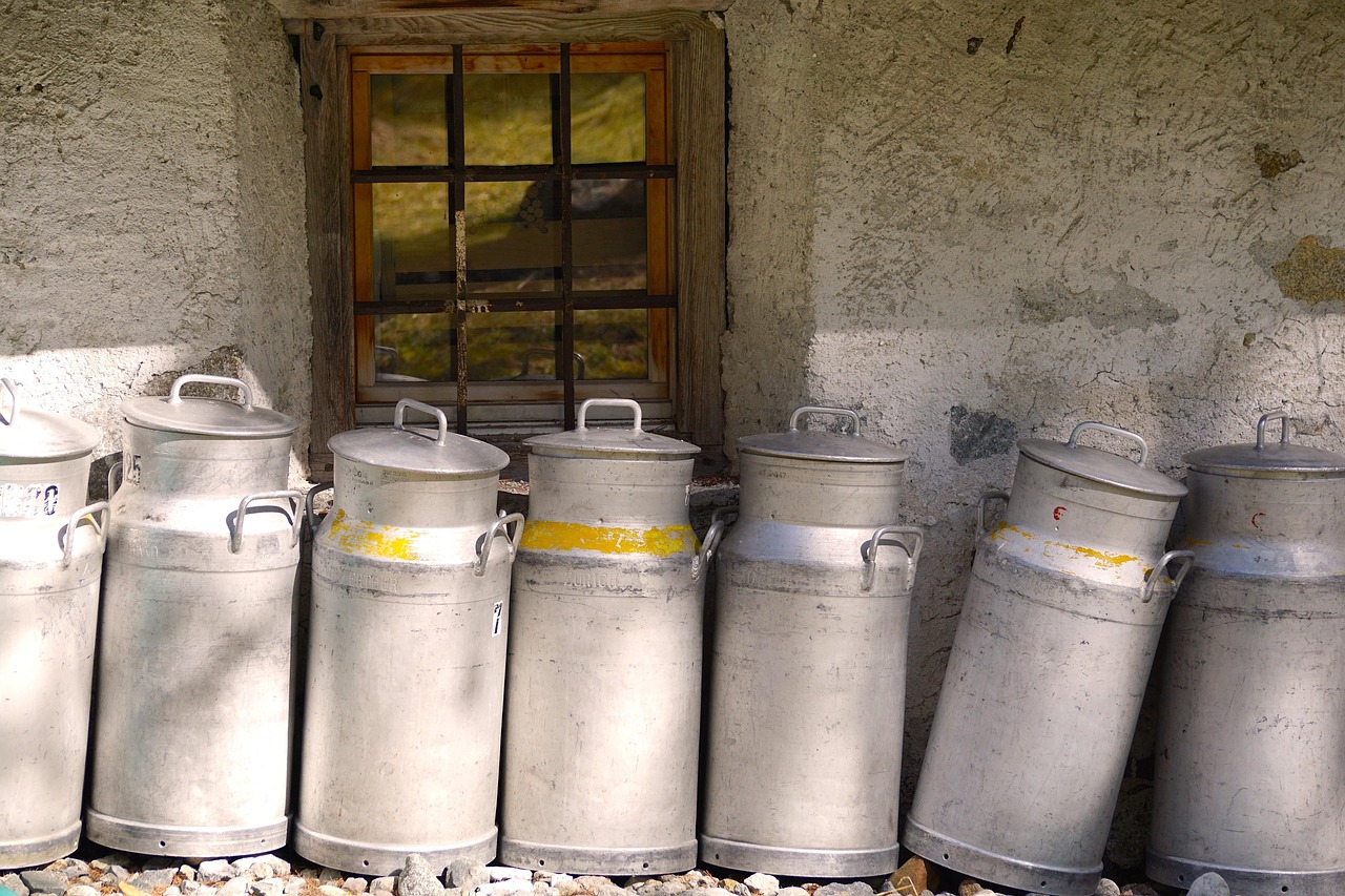 Vers un avenir durable : comment atteindre la production de lait carboneutre