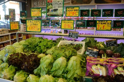 Acheter écolo : les raisons surprenantes qui dévoilent les pièges cachés de nombreux produits verts