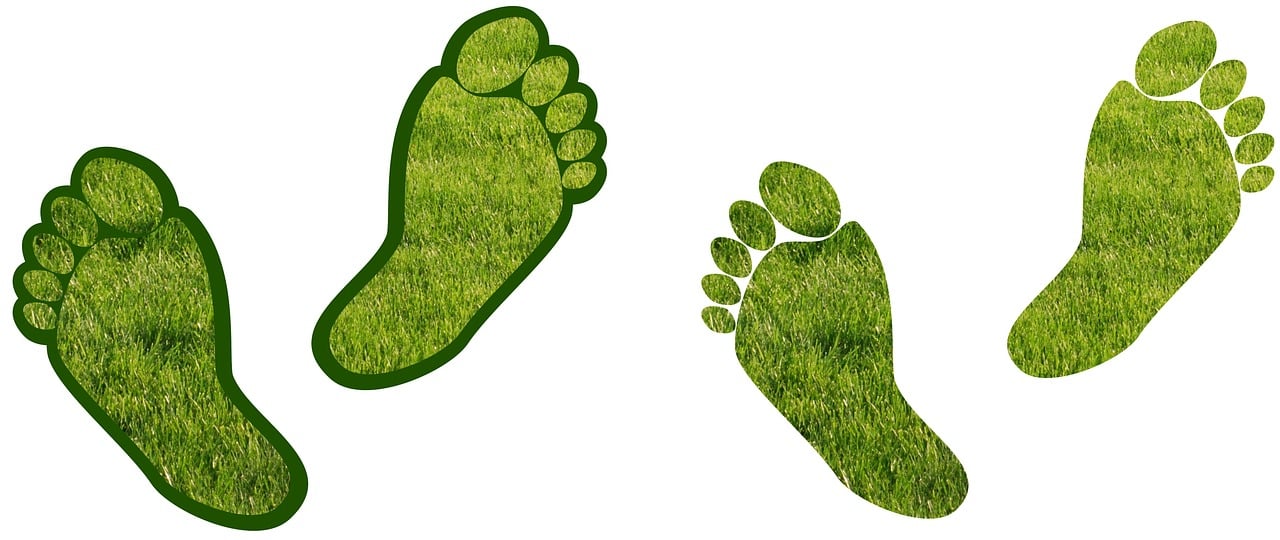 Promouvoir un mode de vie durable par le biais du bilan carbone