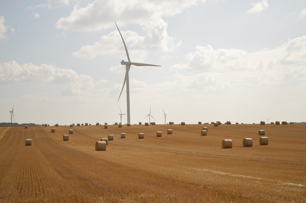 Alimentation durable : Comment adopter des pratiques écoresponsables au quotidien