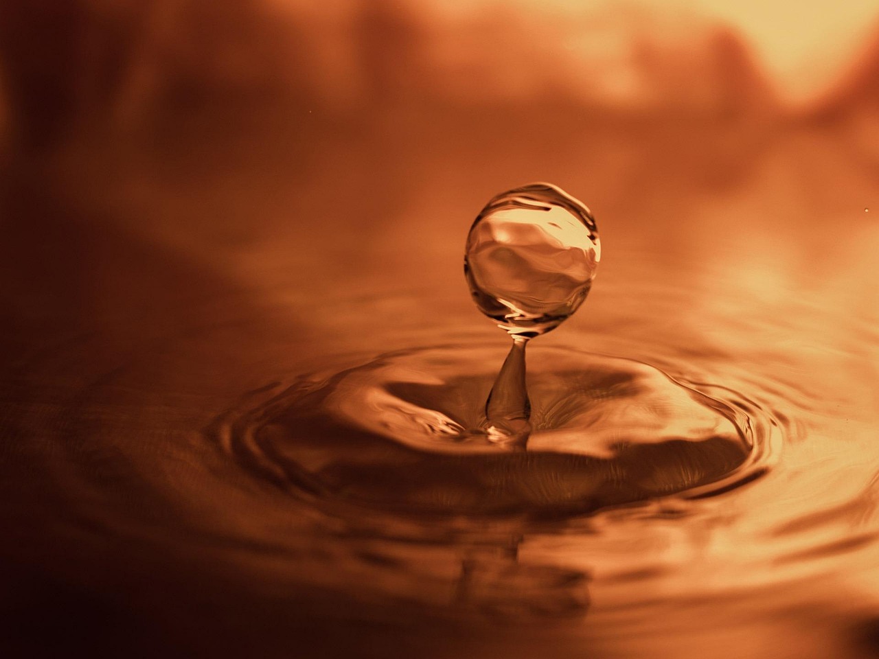 Les conséquences sur l’eau et le bilan carbone