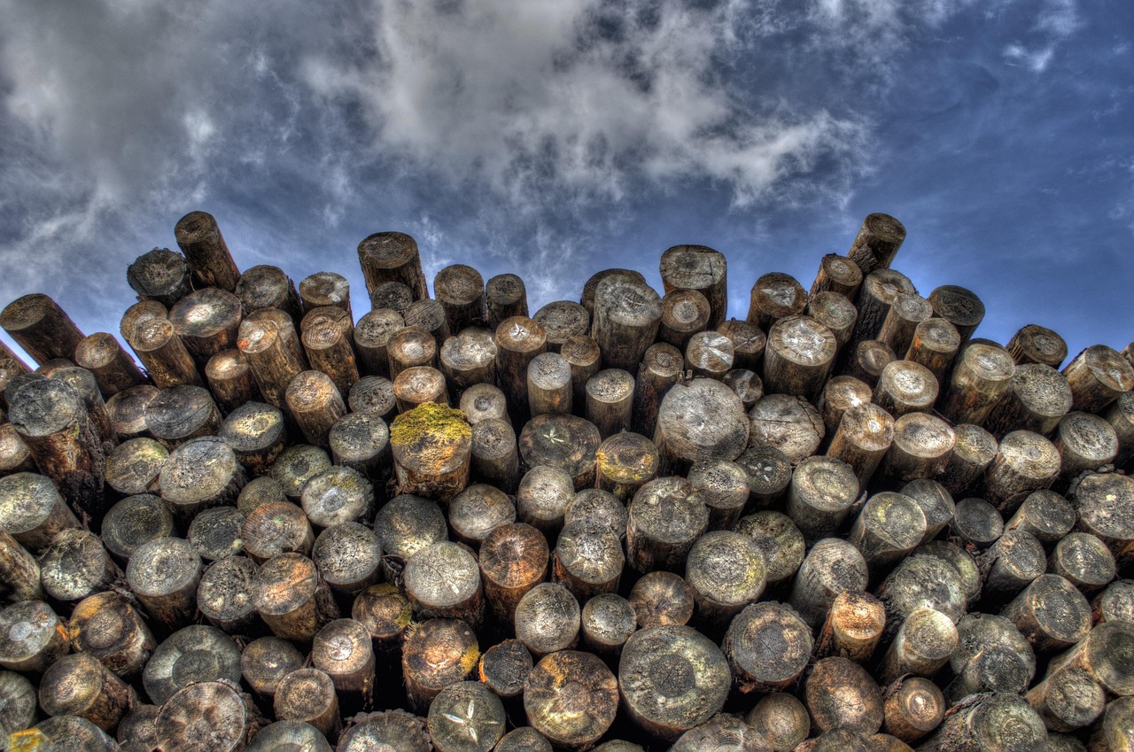 Brésil : un nouveau plan climatique place la lutte contre la déforestation au premier rang