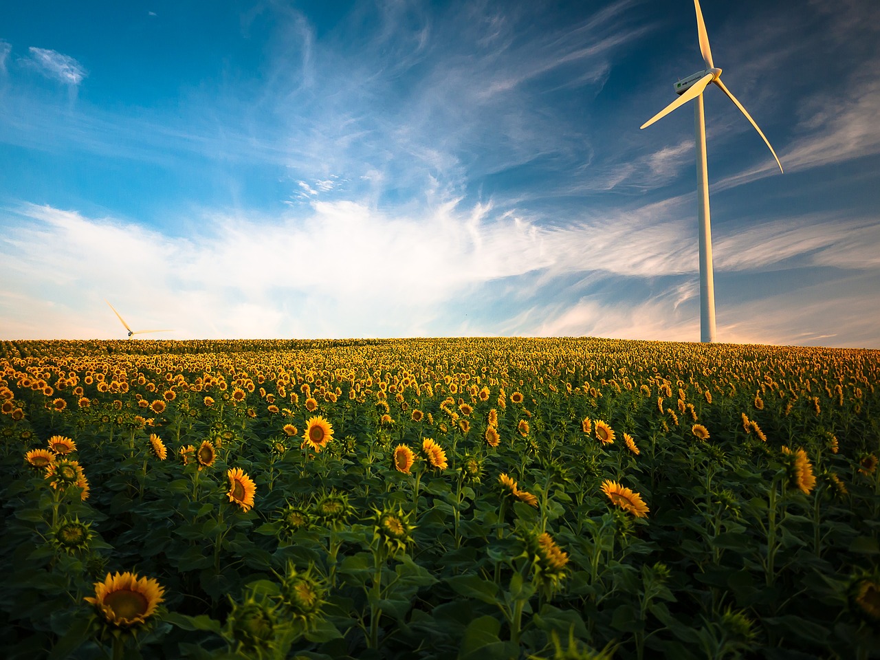Impact des énergies renouvelables sur le bilan carbone