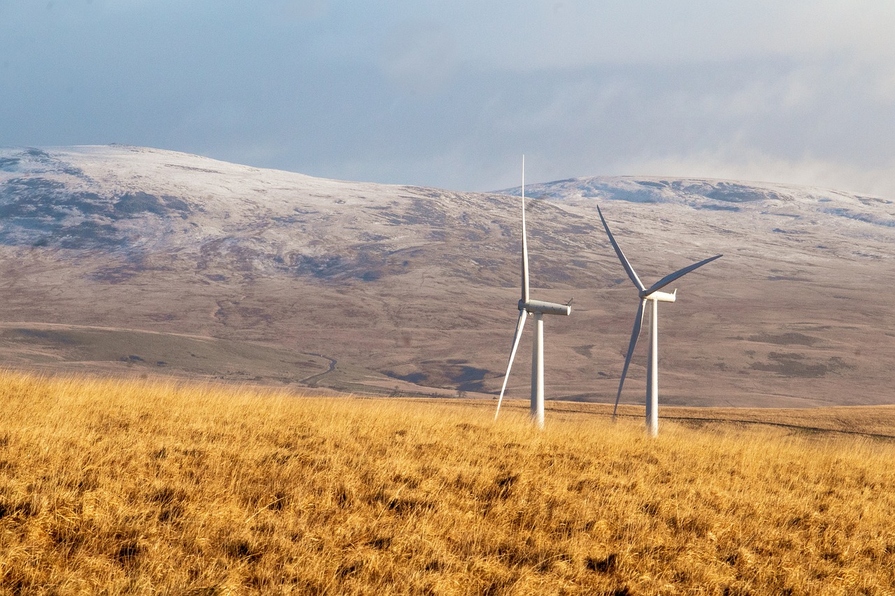L’importance des énergies renouvelables dans le bilan carbone