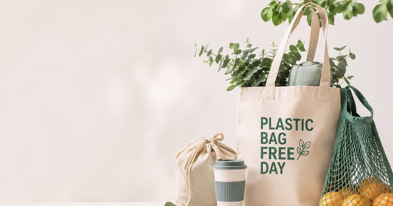 Comment adopter un mode de vie durable zéro déchet en famille