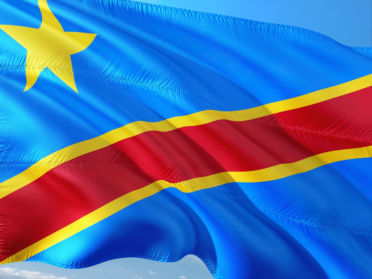 Forêts humides du Congo : nouveau rôle majeur dans les émissions de carbone en Afrique