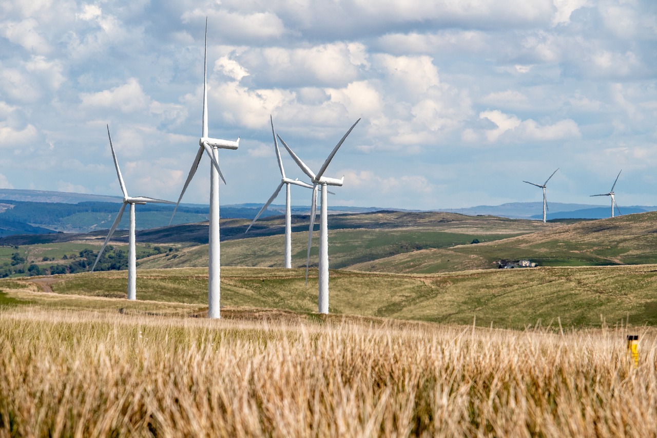 Énergies renouvelables : vers un avenir avec un bilan carbone équilibré