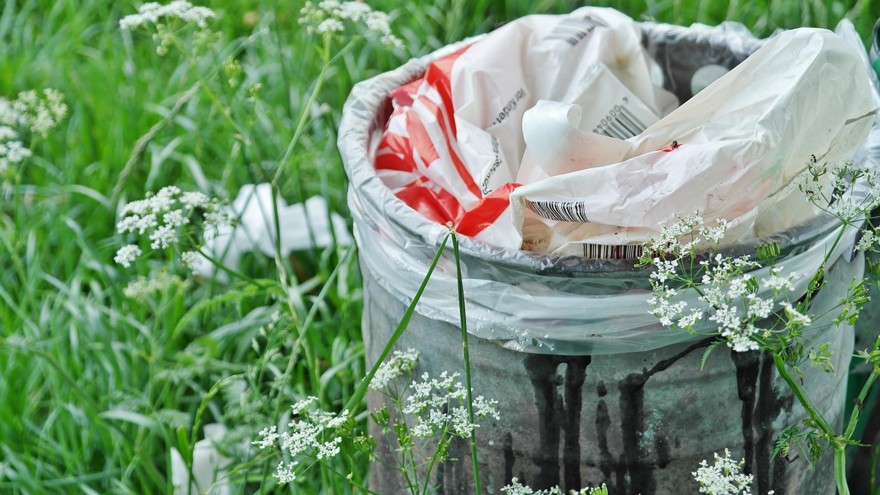 Responsabilité environnementale : Comment adopter des pratiques durables au quotidien