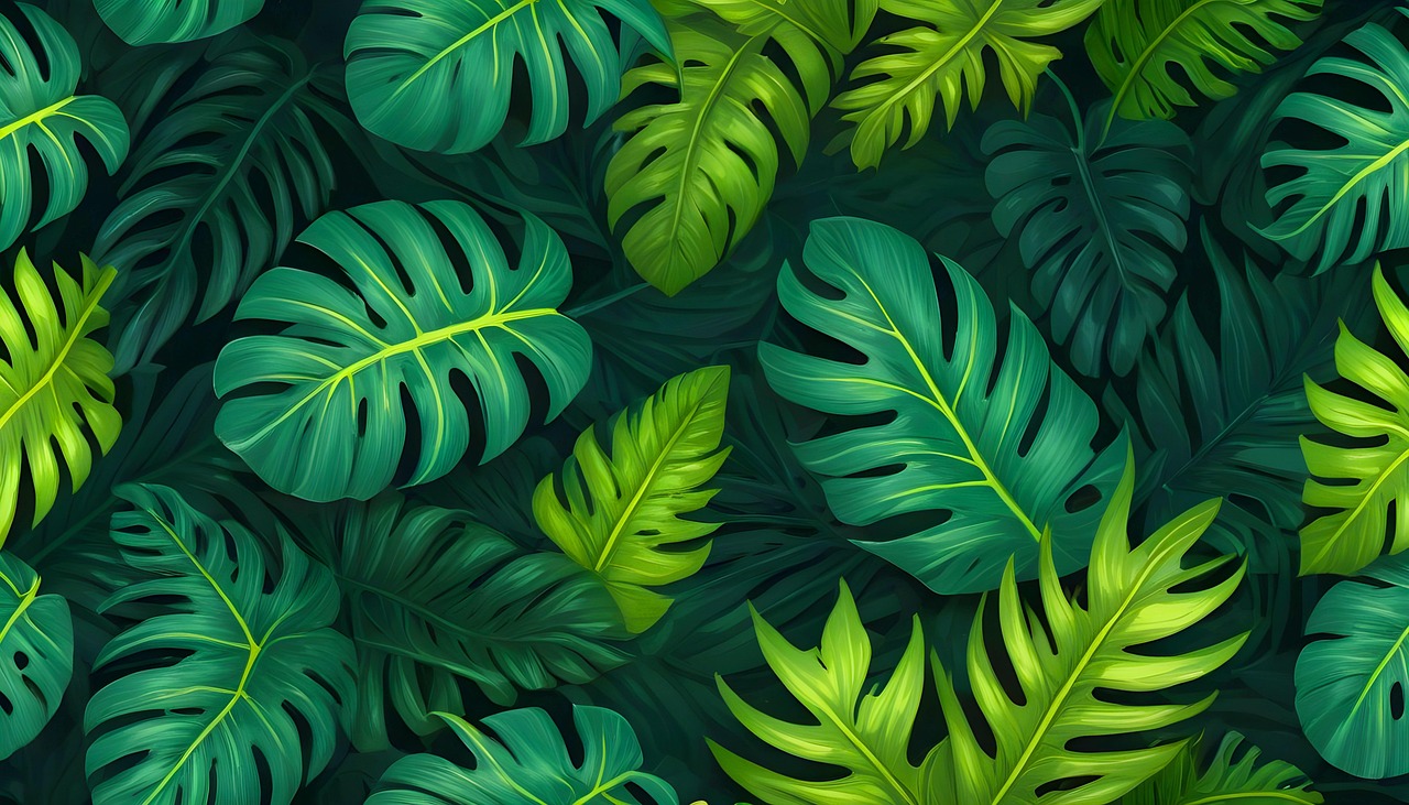 Les forêts tropicales d’Australie : un acteur préoccupant du bilan carbone mondial en 2023