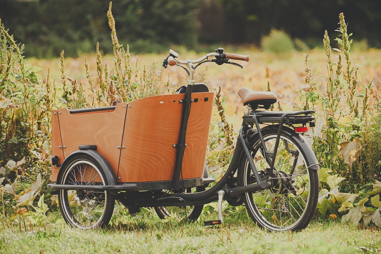 Sustainability : Comment adopter un mode de vie écologique au quotidien