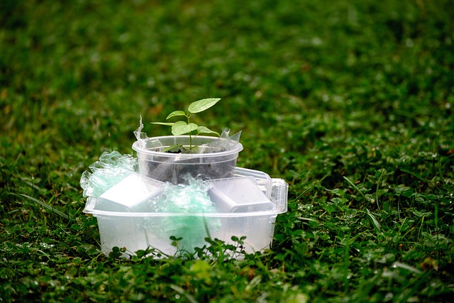 Écologie et entreprises : vers une responsabilité sociale accrue