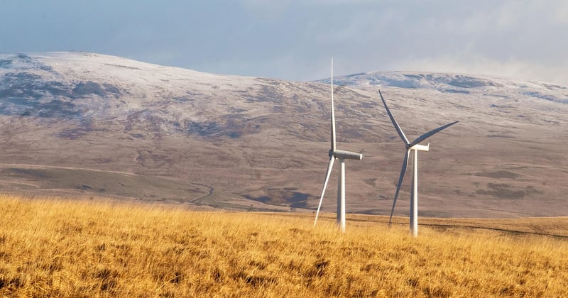 Fournisseurs énergie verte pour petites entreprises : le guide malin