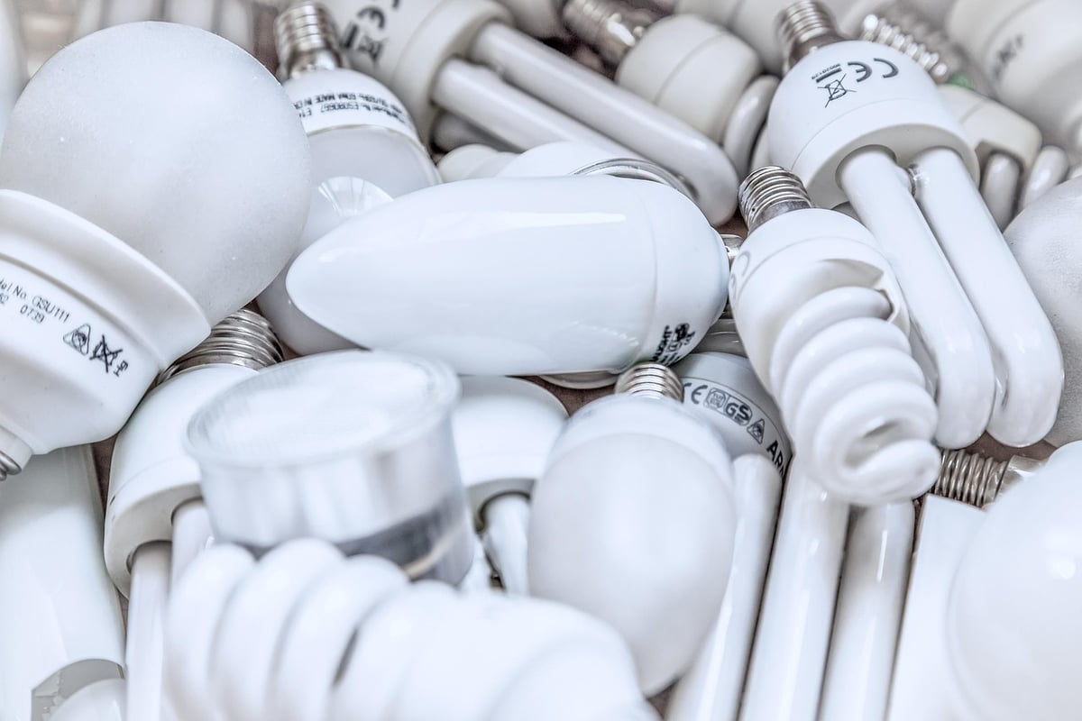 Économie régénérative : vers un modèle durable pour l’avenir