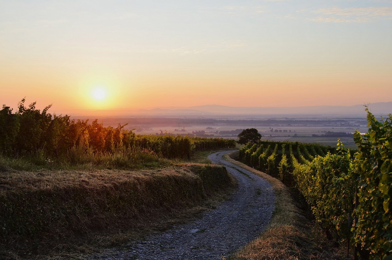 Kronenbourg Renouvelle son Engagement avec le Label Alsace Excellence