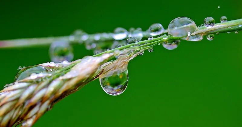 Récupérer l'eau de pluie sans se tromper