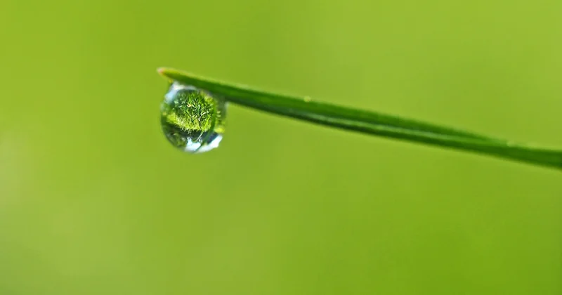 Repenser l'eau : récupérer, stocker, économiser