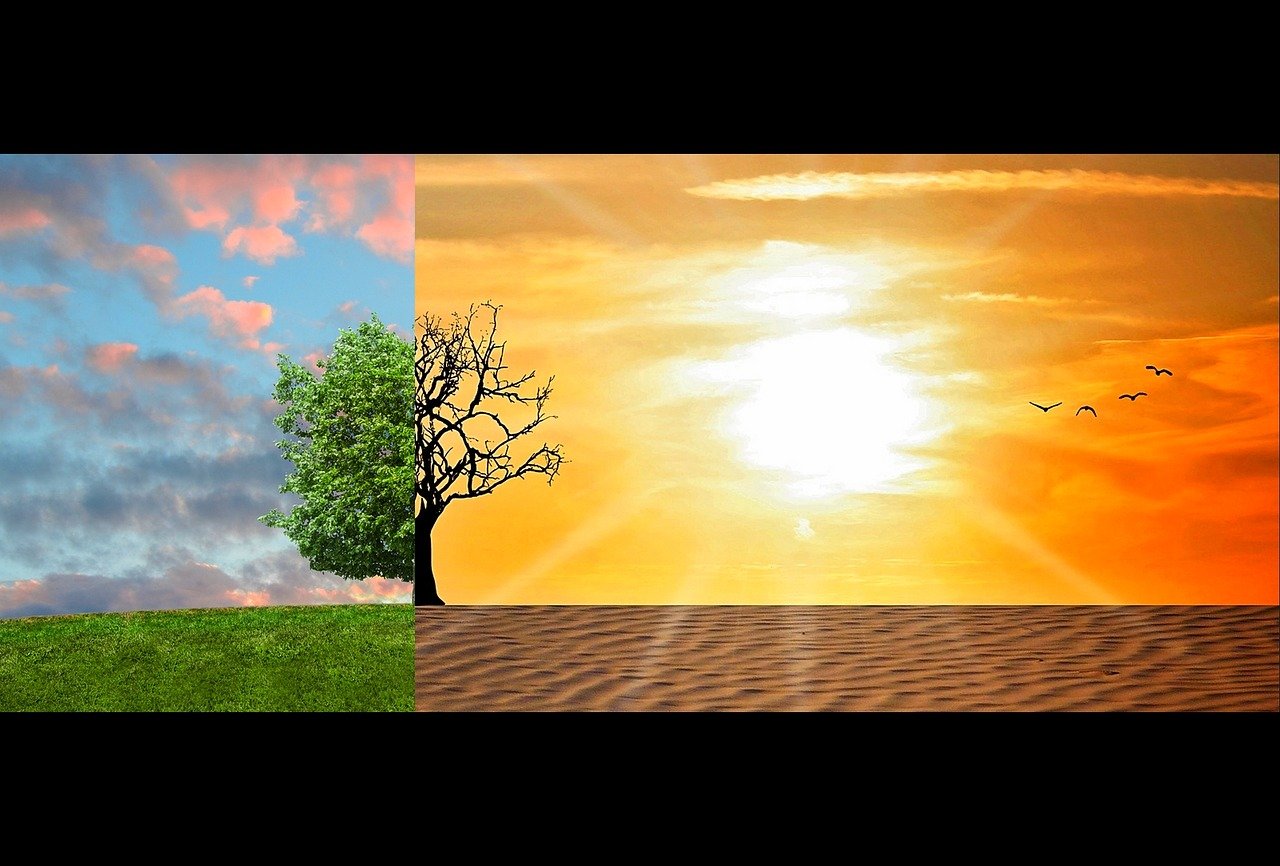 Les enjeux cruciaux du changement climatique