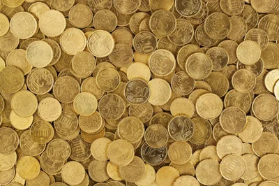 Budget vert : quand les décisions politiques se heurtent à l’urgence climatique