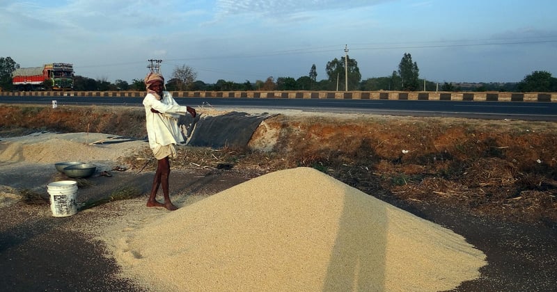 Impact changement climatique sur agriculture vivrière : la menace silencieuse
