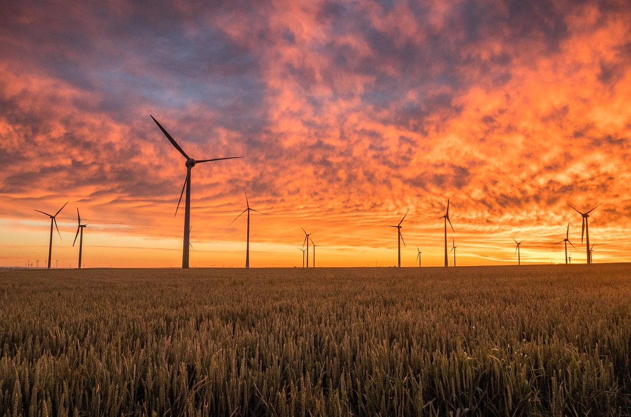 Energies renouvelables : un outil pour limiter le bilan carbone