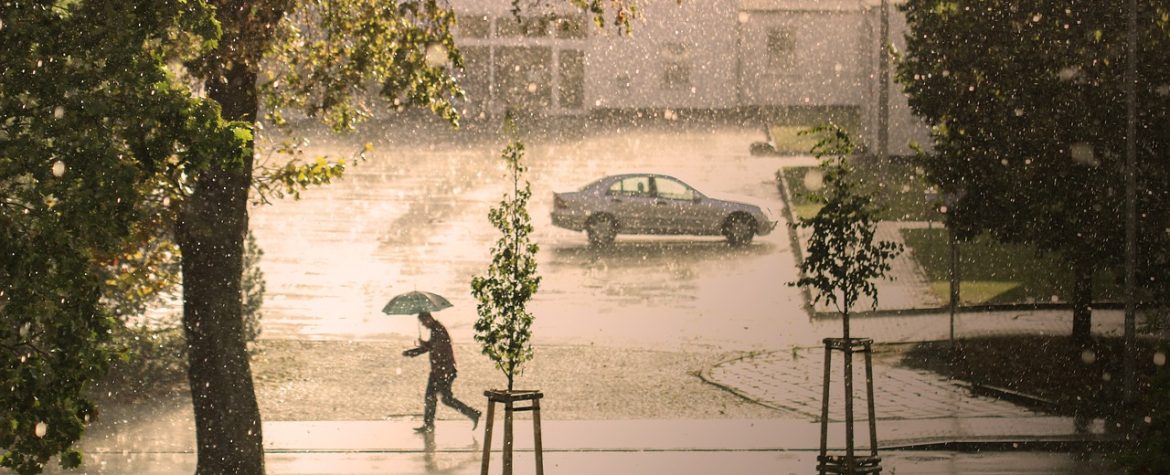 découvrez comment les ombres climatiques influencent notre environnement et nos vies. explorez l'impact des changements climatiques et des solutions durables pour un avenir meilleur.