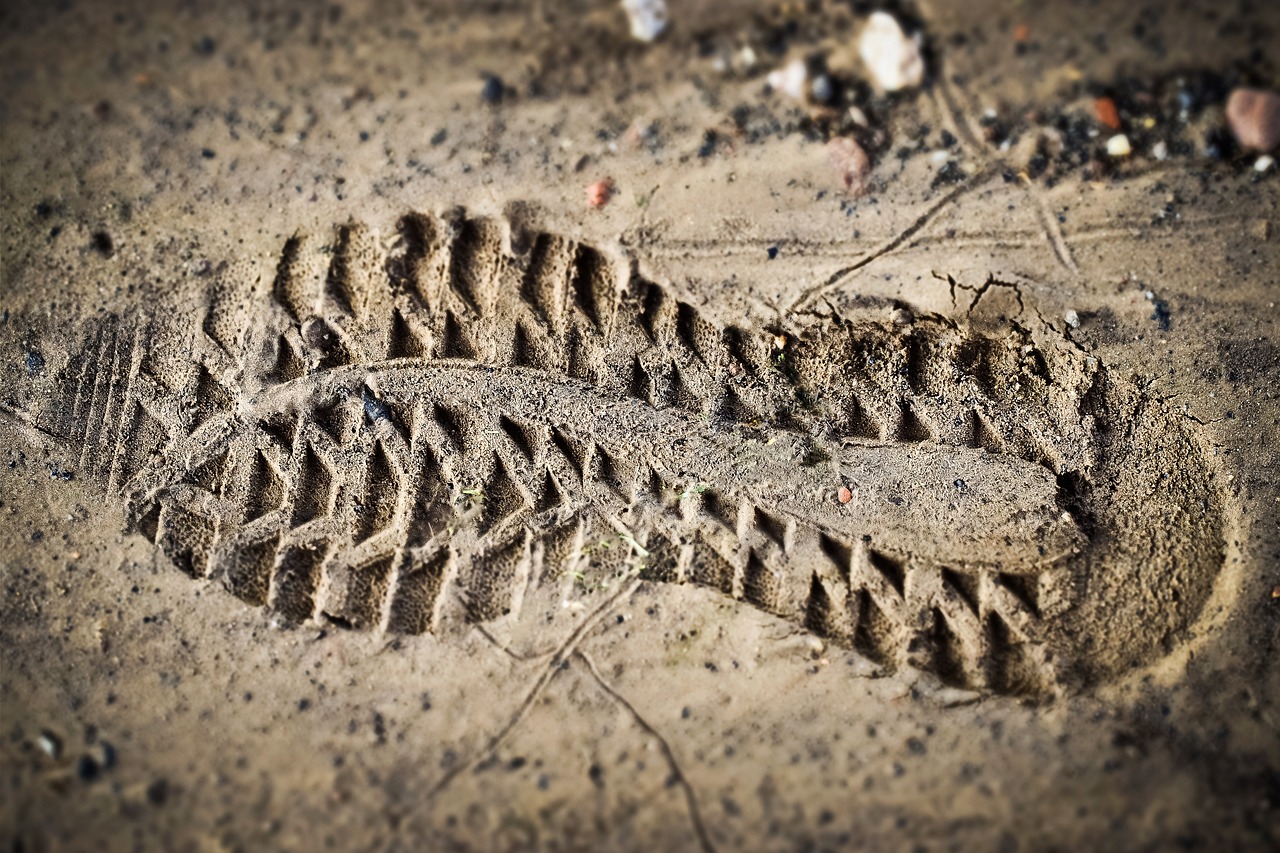 découvrez ce qu'est l'empreinte carbone, son impact sur l'environnement et comment réduire son empreinte au quotidien pour un futur plus durable.