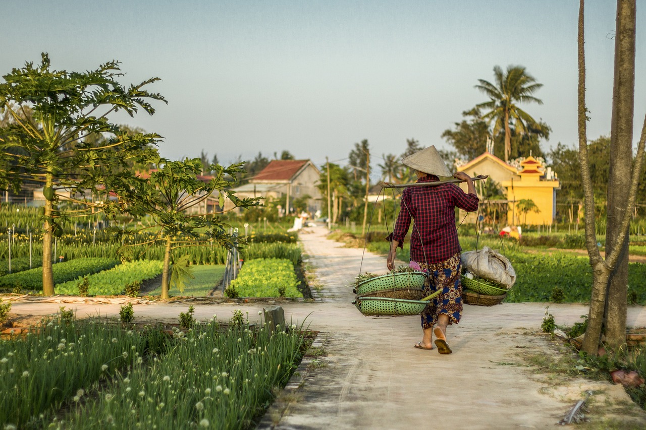 découvrez comment les initiatives locales transforment nos communautés. explorez des projets innovants, des programmes de développement durable et des actions citoyennes qui font la différence au niveau local.