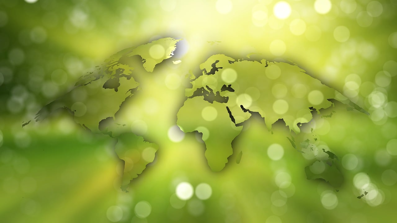 découvrez les enjeux de la durabilité et les pratiques écologiques qui préservent notre planète. apprenez comment adopter un mode de vie plus durable pour un avenir meilleur.