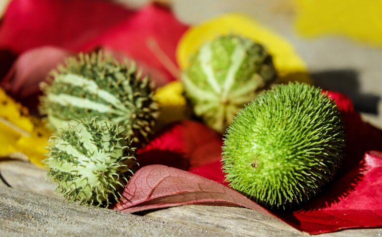 gbd7b0818148e17e59baf3841259d7c8cf5d7af0ab8bc2d5f6caa54575331f687034e11b0b64277a1da2857e2f8312d577405ae362ae9ee14a950d96a9e247b12_1280