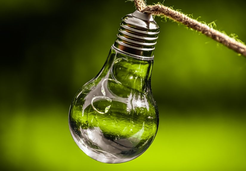 découvrez comment la durabilité transforme notre monde, en intégrant des pratiques écologiques et responsables pour préserver notre planète pour les générations futures. explorez les tendances, les innovations et les actions nécessaires pour un avenir plus durable.
