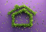 découvrez comment construire un avenir durable grâce à des pratiques respectueuses de l'environnement, des innovations écologiques et des initiatives sociales. engagez-vous pour une planète plus verte et un mode de vie responsable.