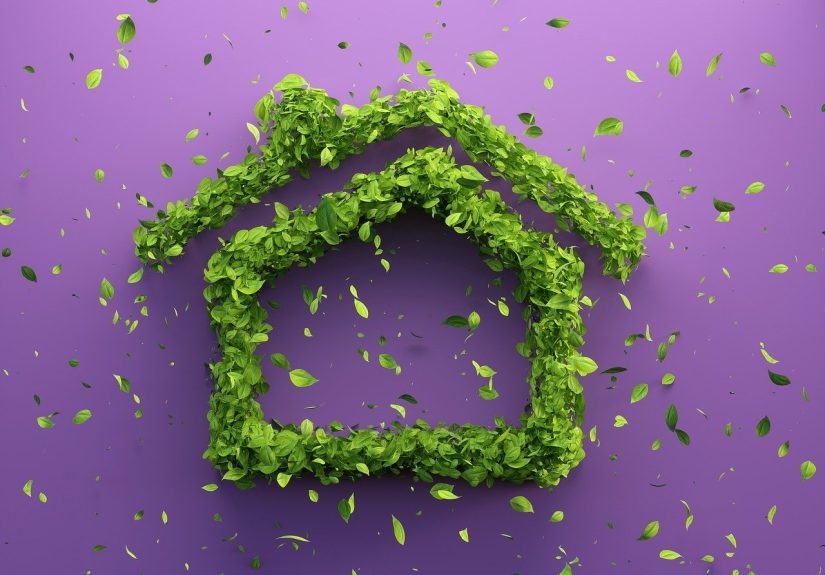 découvrez comment construire un avenir durable grâce à des pratiques respectueuses de l'environnement, des innovations écologiques et des initiatives sociales. engagez-vous pour une planète plus verte et un mode de vie responsable.